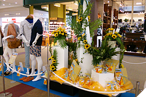 ショップディスプレイ